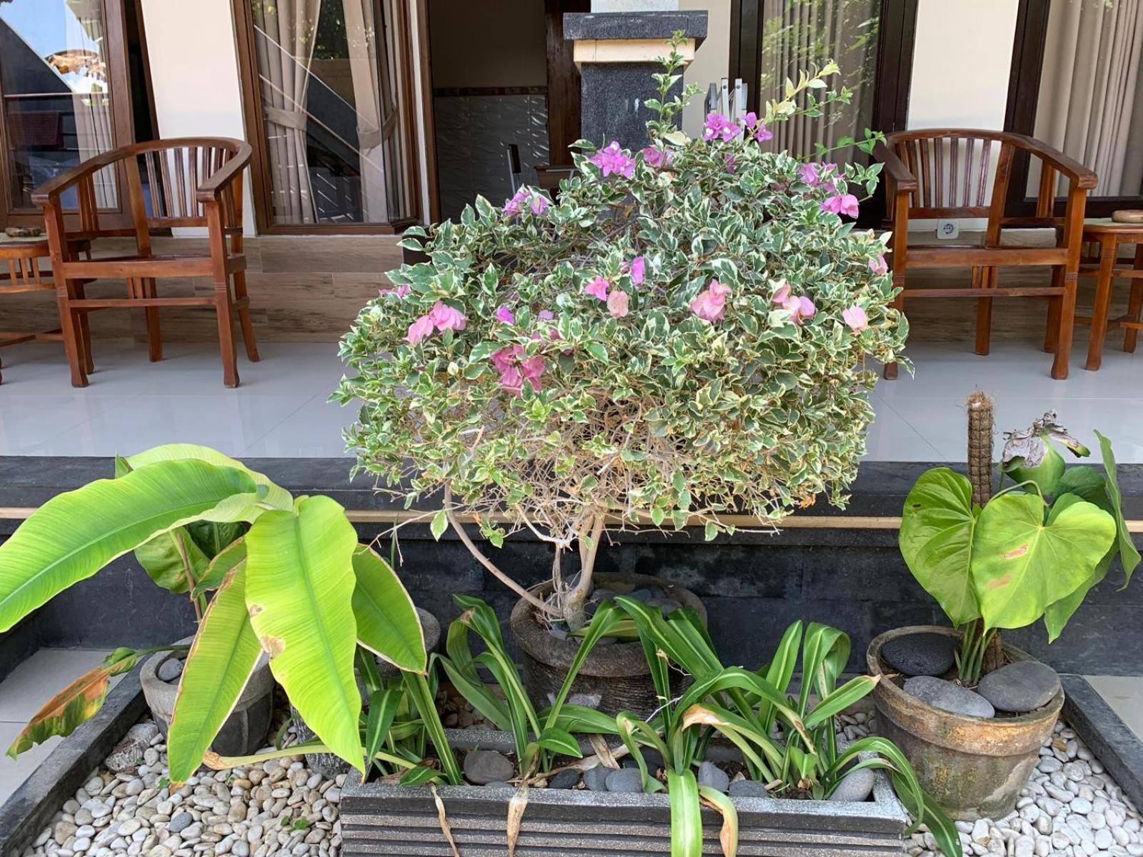 Jepun Inn Padangbai  Luaran gambar